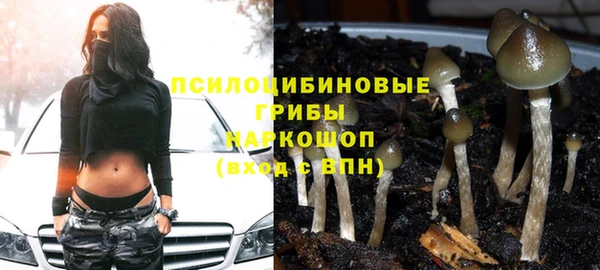 соль курить ск Алзамай